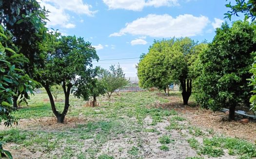 Quintinha com Moradia Térrea em Santo Isidro de Pegões!