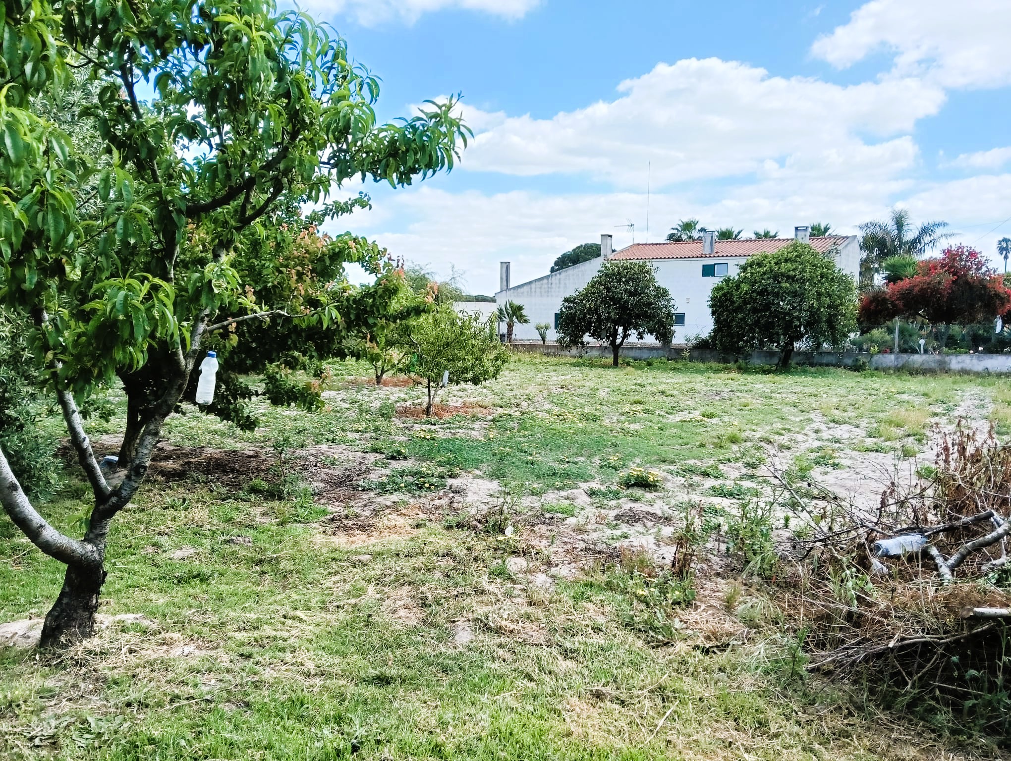 Quintinha com Moradia Térrea em Santo Isidro de Pegões!