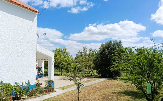 Quintinha com Moradia Térrea em Santo Isidro de Pegões!
